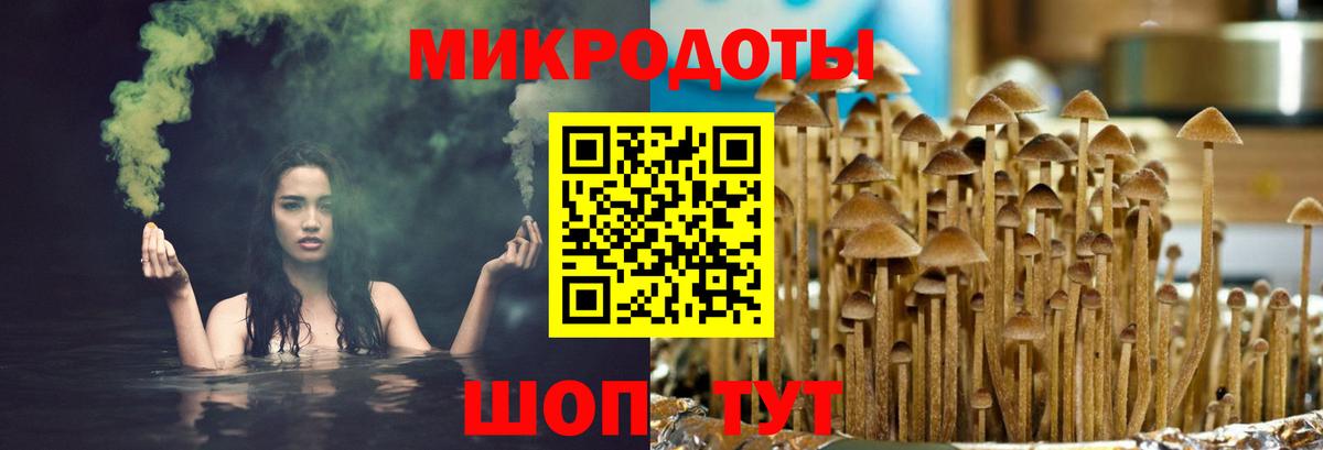 Псилоцибиновые грибы прущие грибы  Вход с VPN  Саянск 